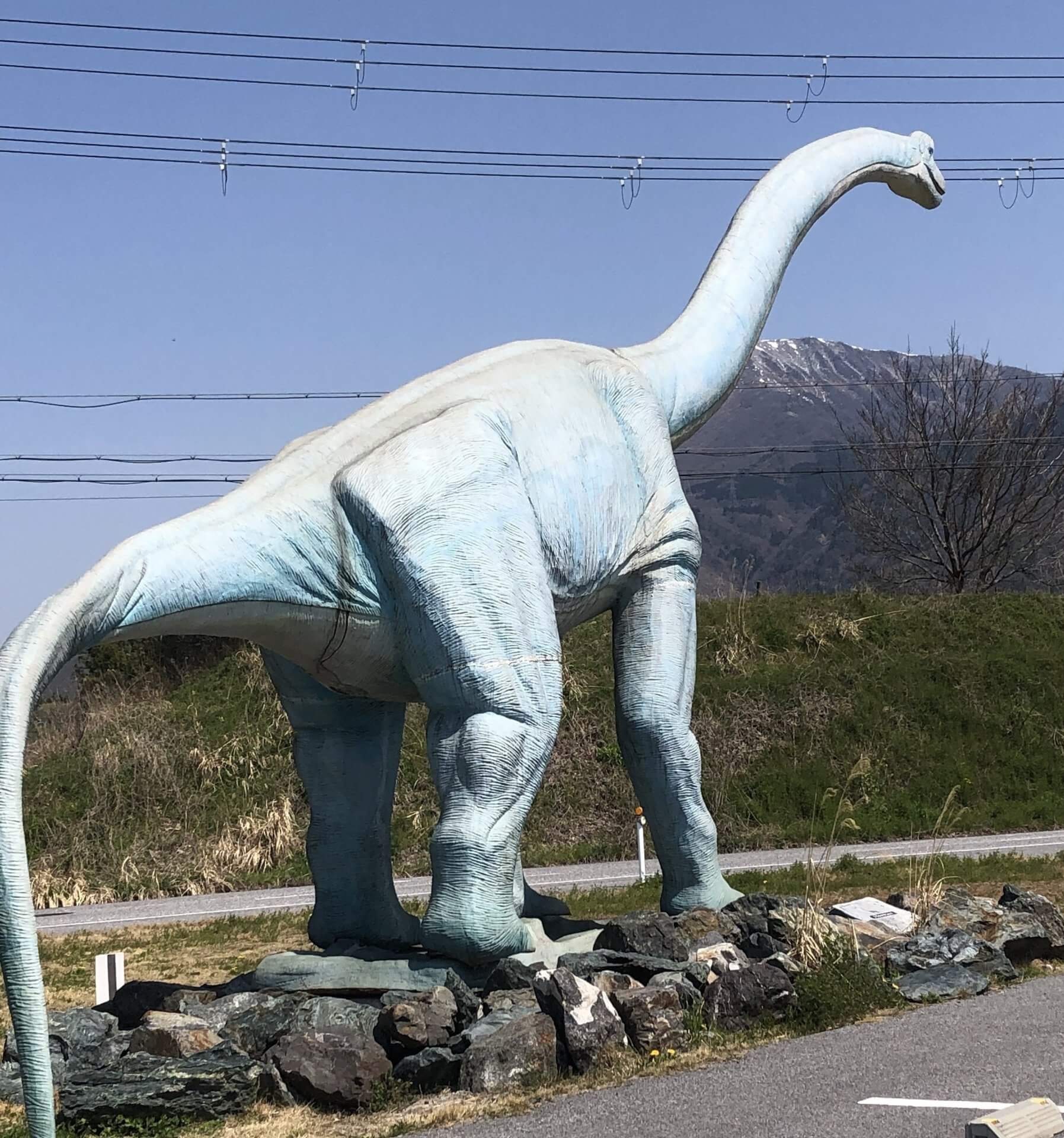 BIG・BREATH🦖